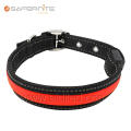 Premium Adjustable Flashing Lighted Led Dog Collar